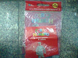 corpo humano numero 41